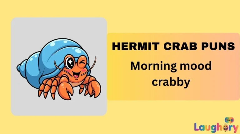 Hermit Crab Puns