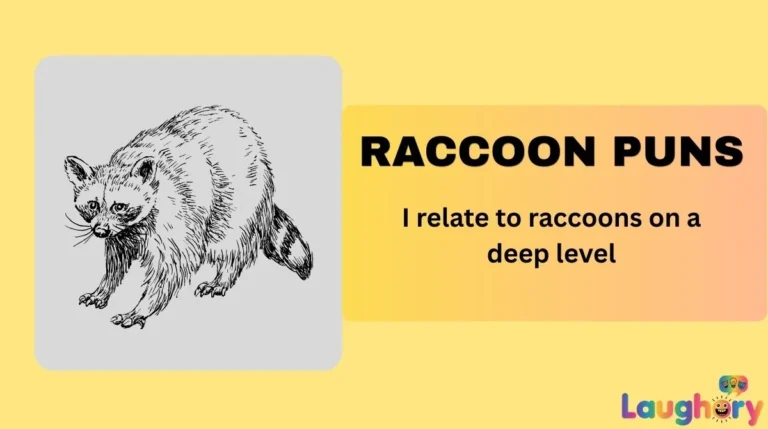 Raccoon Puns