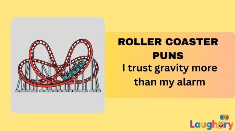 Roller Coaster Puns
