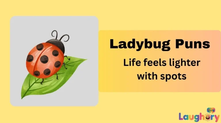 Ladybug Puns